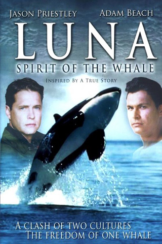 luna-cat-poster